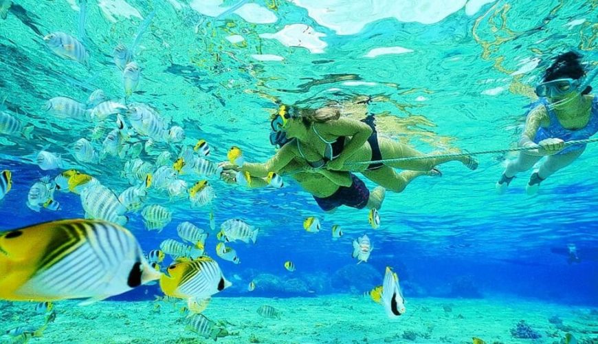 langkawi-pulau-payar-snorkeling-diving