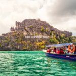 mangrove tour kilim langkawi