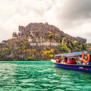 mangrove tour kilim langkawi