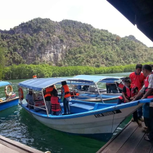 langkawi mangrove tour