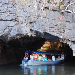 langkawi mangrove tour