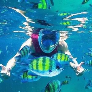 langkawi mangrove tour