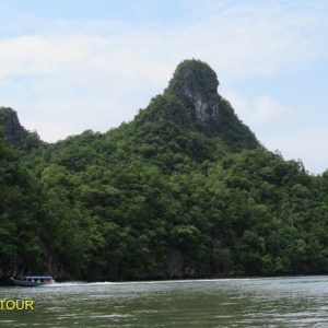 langkawi mangrove tour