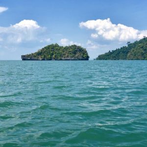 langkawi mangrove tour